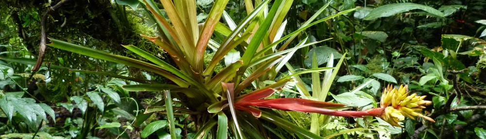 David M Watson, ecologist