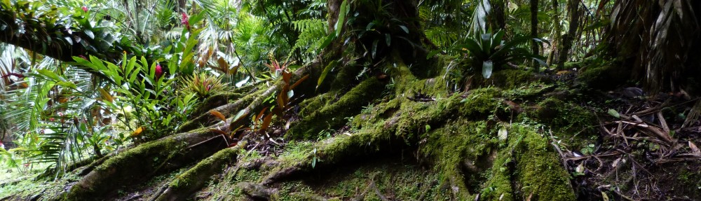 David M Watson, ecologist