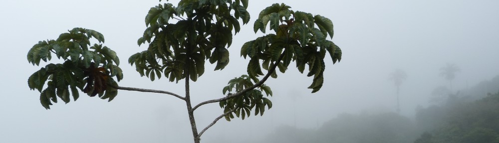 David M Watson, ecologist