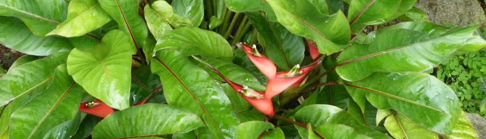 David M Watson, ecologist