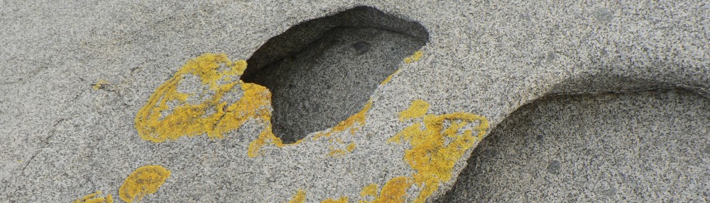 David M Watson, ecologist