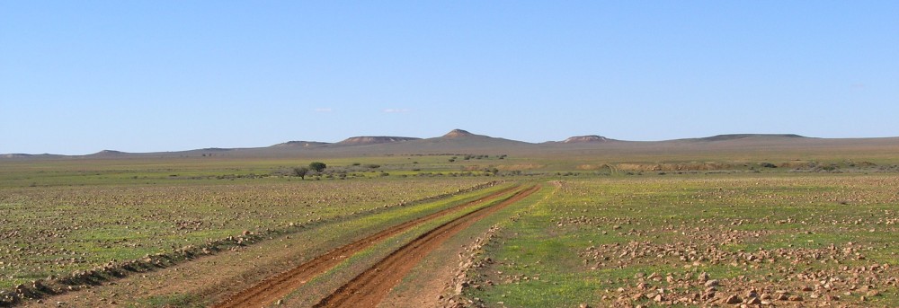 David M Watson, ecologist