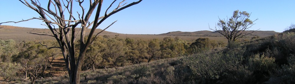 David M Watson, ecologist