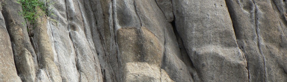 David M Watson, ecologist