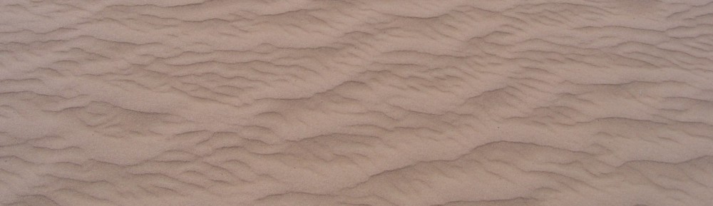 David M Watson, ecologist